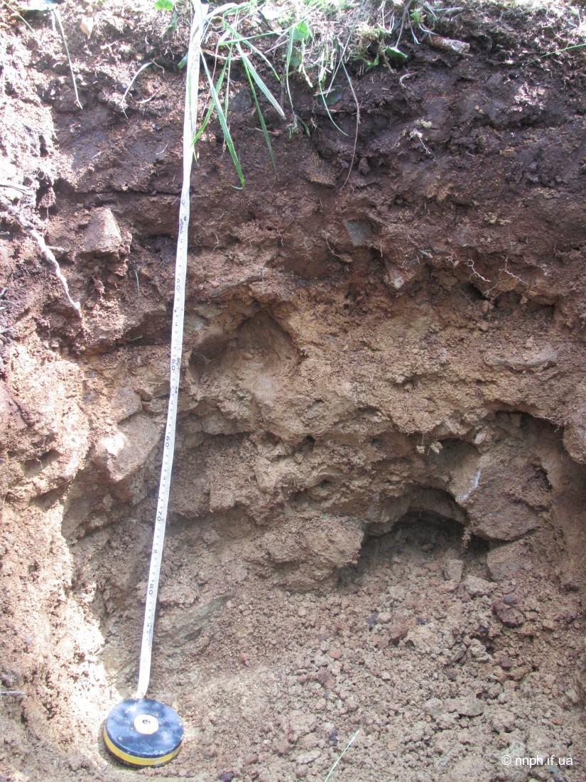 грунтовий розріз (манявська світа) ділянка №3