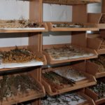 Кімната лікарських рослин