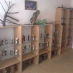 Кімната-музей дедрології