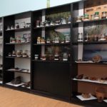 Кімната-музей мікології