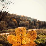 І місце фотоконкурсу - робота Життя і час - два вчителі Білака Андрія Васильовича, учня Річківського НВК