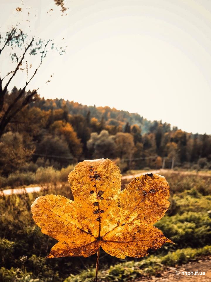 І місце фотоконкурсу - робота Життя і час - два вчителі Білака Андрія Васильовича, учня Річківського НВК