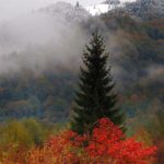 І місце фотоконкурсу - робота Сезонні контрасти Білак Андріани Віталівни, гуртківця Косівського ЦДТ