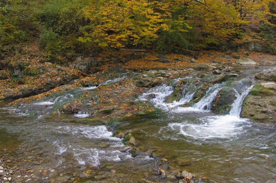 ІІІ місце фотоконкурсу – робота Косівські водоспади Мицканюк Соломії Петрівни, гуртківця Косівського ЦДТ