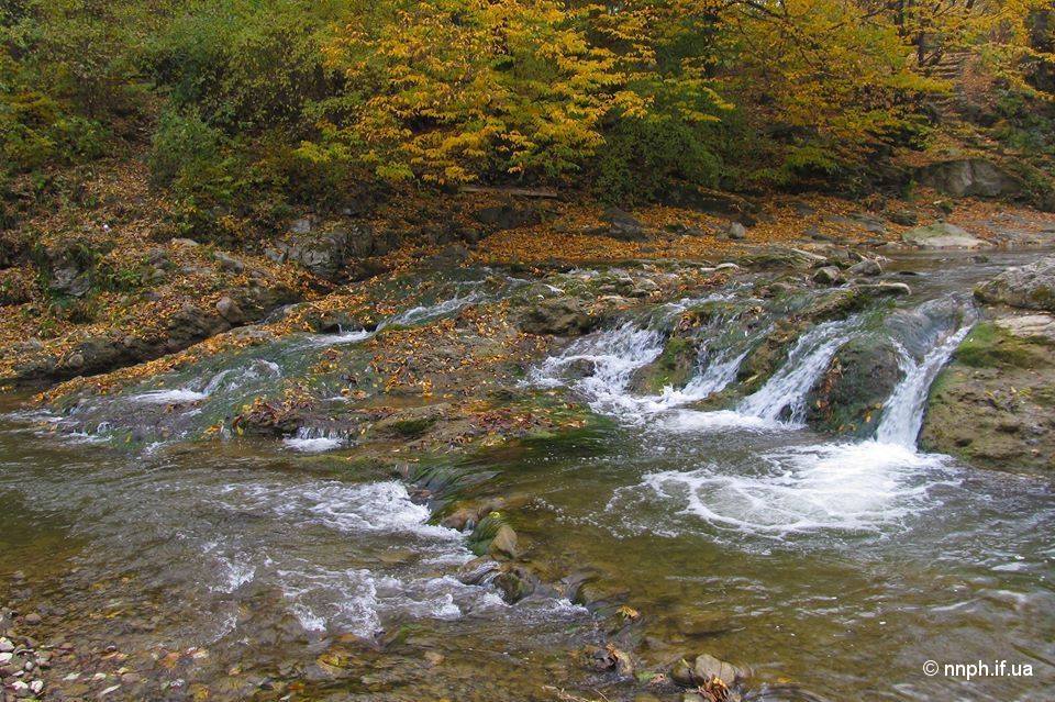 ІІІ місце фотоконкурсу – робота Косівські водоспади Мицканюк Соломії Петрівни, гуртківця Косівського ЦДТ